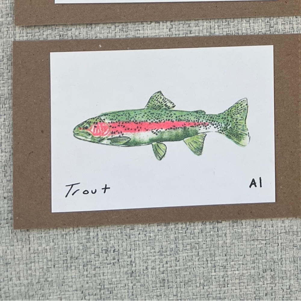 1 Trout Fish Mini Art Prints from Inciardi Machines Collectable